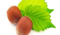 Fındık Üreticileri “Cenaze Namazlı” Eylem Yaptı